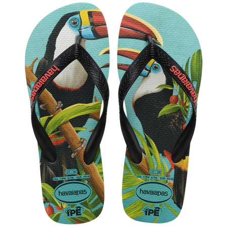 Havaianas sales collection 2019